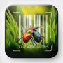 Food Bug Scanner