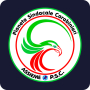 PSC Assieme