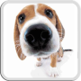 DOG LICKS SCREEN LWP FREE