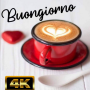 Immagini : Buongirono 2023