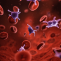 Platelet Counter