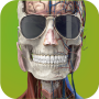 Memorix Anatomy and Histology