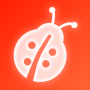 Beetle Novel