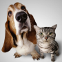 Dog & Cat Translator-Prank App